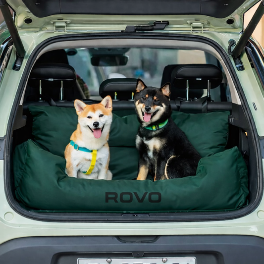 Rovo car dog sofa bed green